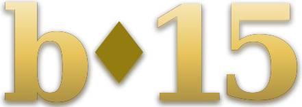 bo 15 logo